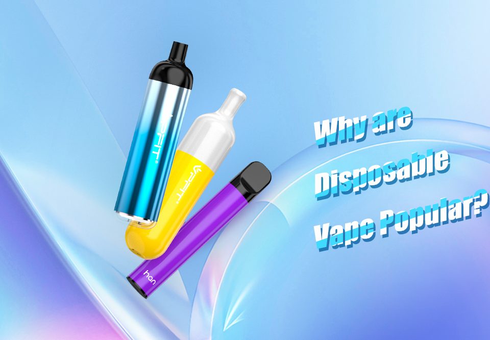 V5 why choose disposable vape pen welcomed
