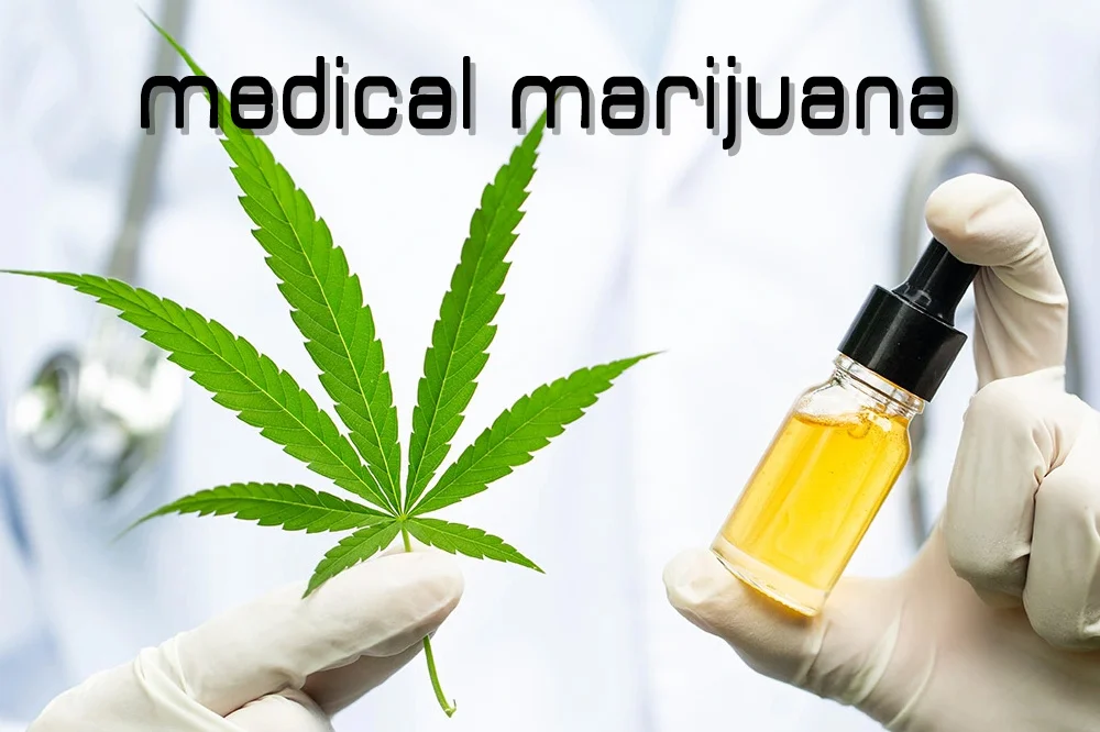 are vapes popular in japan Disposable e-cigarettes – MECIGA® VAPE