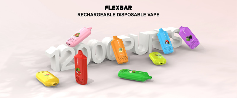 VPFIT Flexbar Series Disposable Vape Mod Wholesale