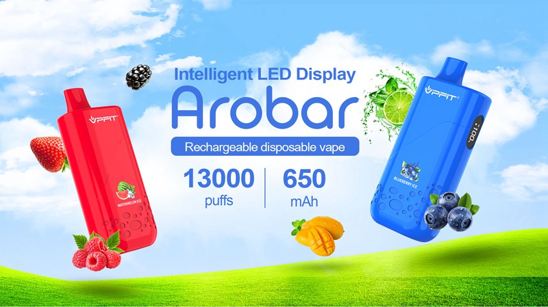 China Vape Factory VPFIT Arobar Rechargeable Disposable Vape