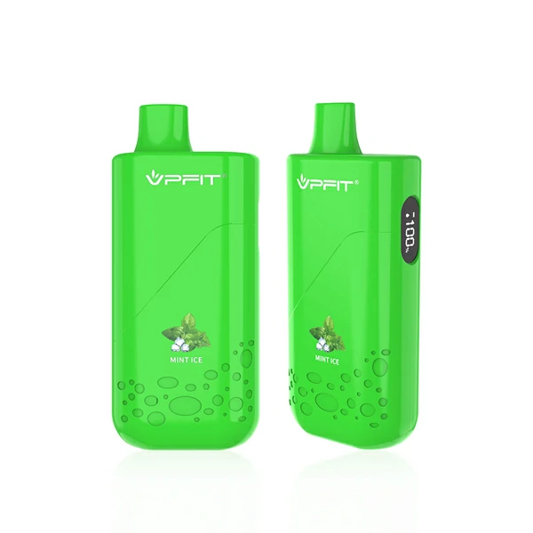 Arobar Mint Vape Rechargeable by VPFIT