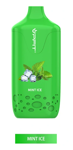 Flexbar Mint Flavor Disposable Rechargeable Vape