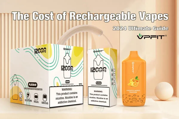 elf bar vape uk The Cost Of Rechargeable Vapes(2024 Ultimate Guide)