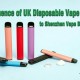 Influence of UK Disposable Vape Ban to Shenzhen Vape Brands